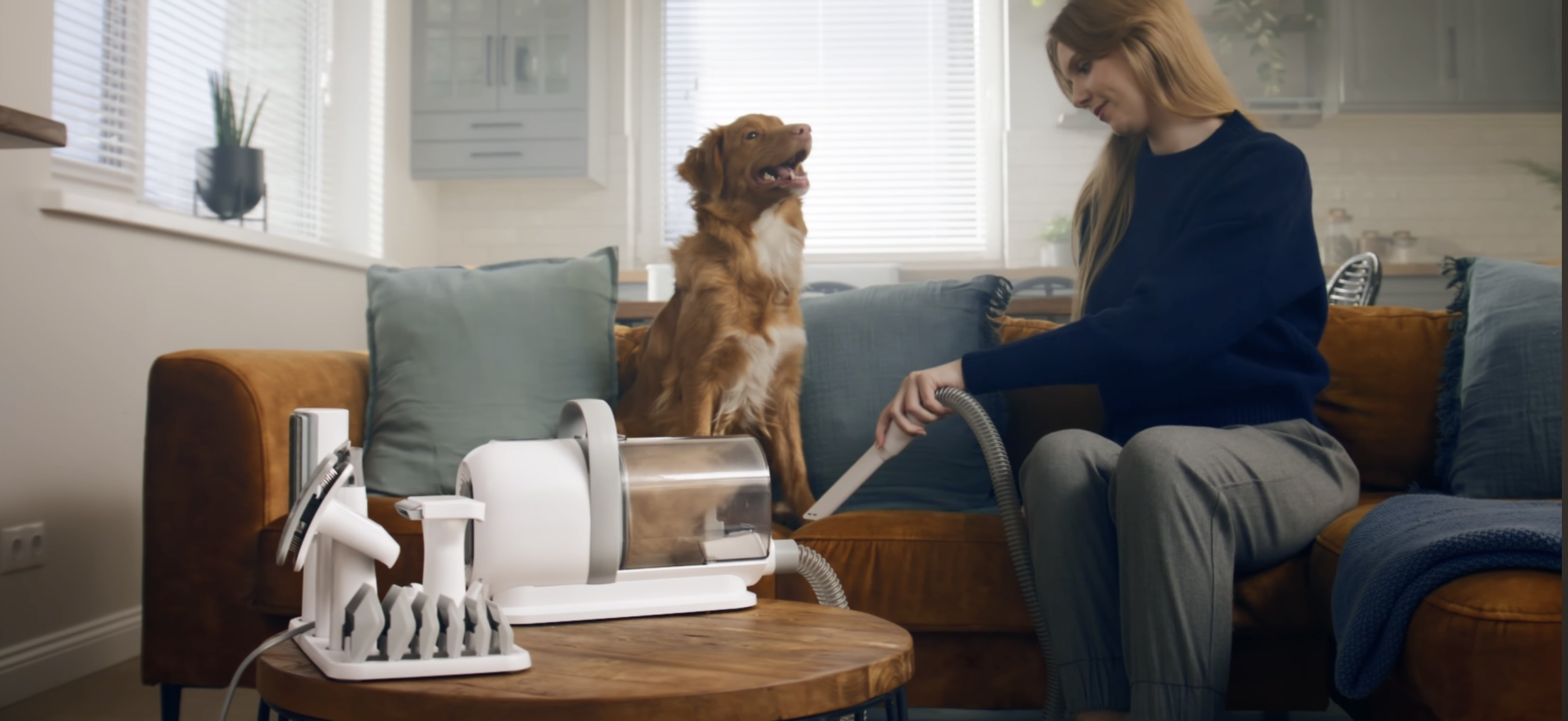 Offre spéciale : Aspirateur de toilettage pour animaux / Kit 5 en 1