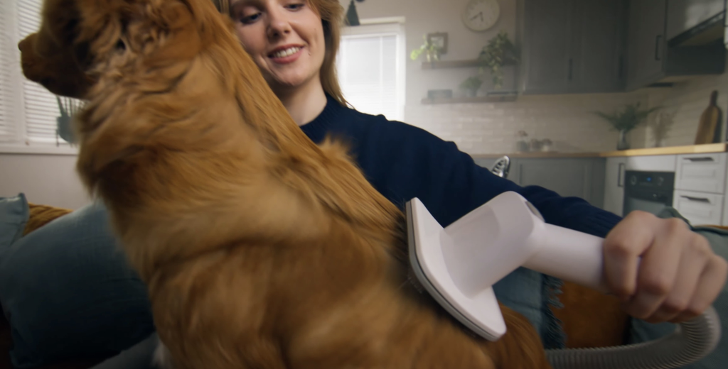 Offre spéciale : Aspirateur de toilettage pour animaux / Kit 5 en 1