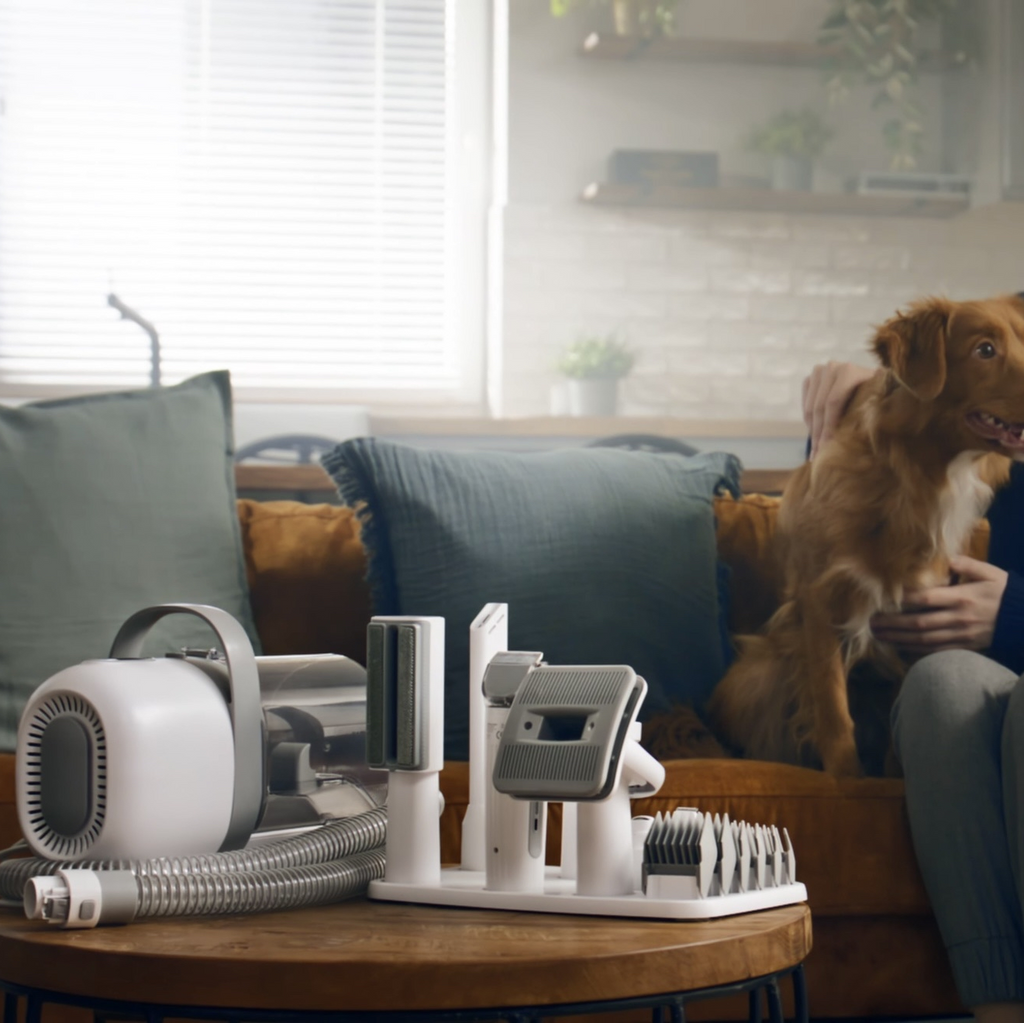 Offre spéciale : Aspirateur de toilettage pour animaux / Kit 5 en 1