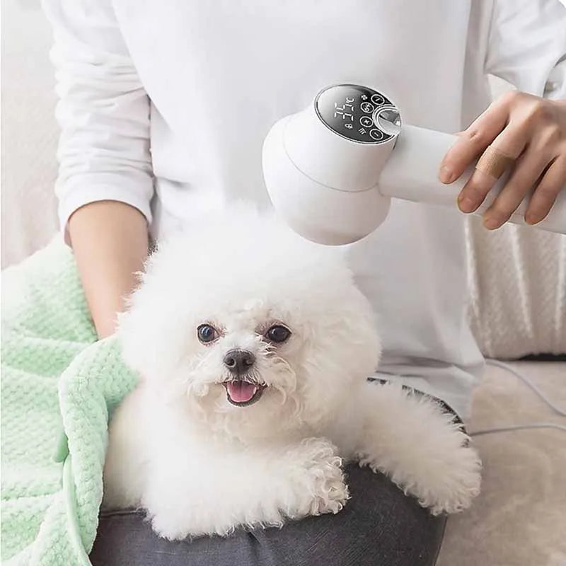Sèche-cheveux pour animaux de compagnie, sèche-cheveux pour chien et chat, fournitures de soins pour chiots, peigne spécial pour petit chien, machine de séchage portable, accessoire de séchage pour animaux de compagnie