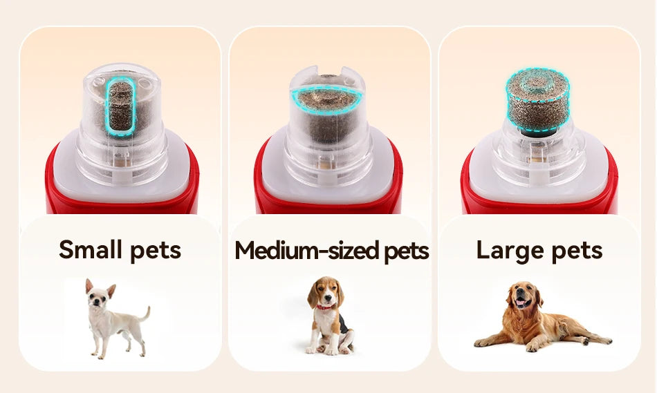 Coupe Griffe électronique pour animaux de compagnie, Rechargeable, toilettage des pattes de chien, coupe-ongles, lumière LED, 7 vitesses réglables, griffe de chat