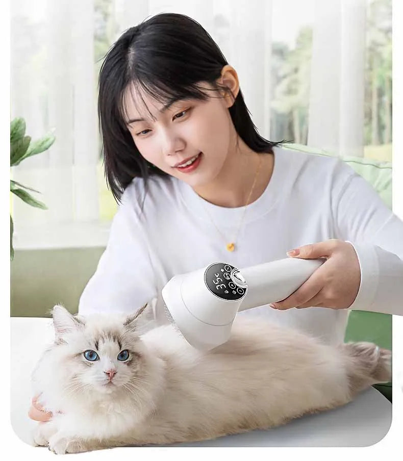 Sèche-cheveux pour animaux de compagnie, sèche-cheveux pour chien et chat, fournitures de soins pour chiots, peigne spécial pour petit chien, machine de séchage portable, accessoire de séchage pour animaux de compagnie