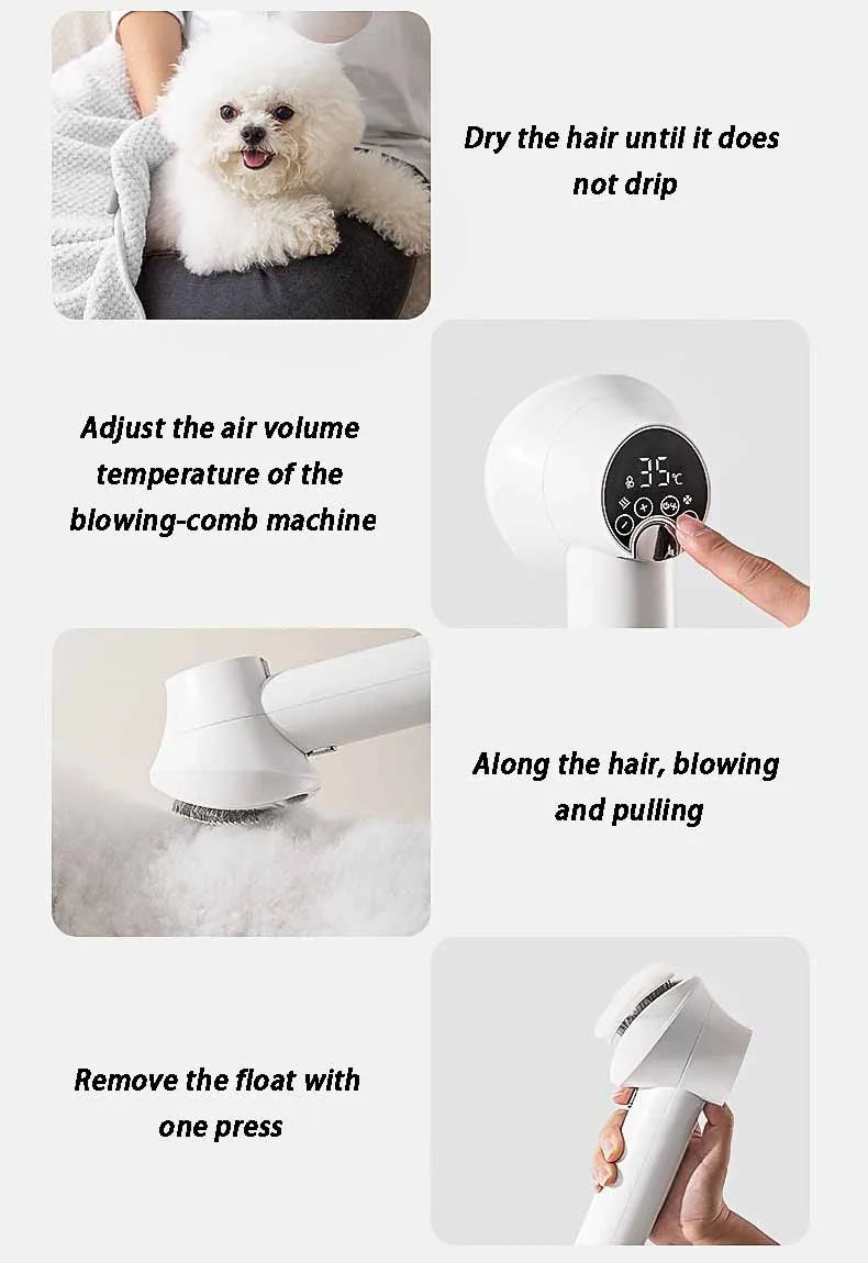 Sèche-cheveux pour animaux de compagnie, sèche-cheveux pour chien et chat, fournitures de soins pour chiots, peigne spécial pour petit chien, machine de séchage portable, accessoire de séchage pour animaux de compagnie